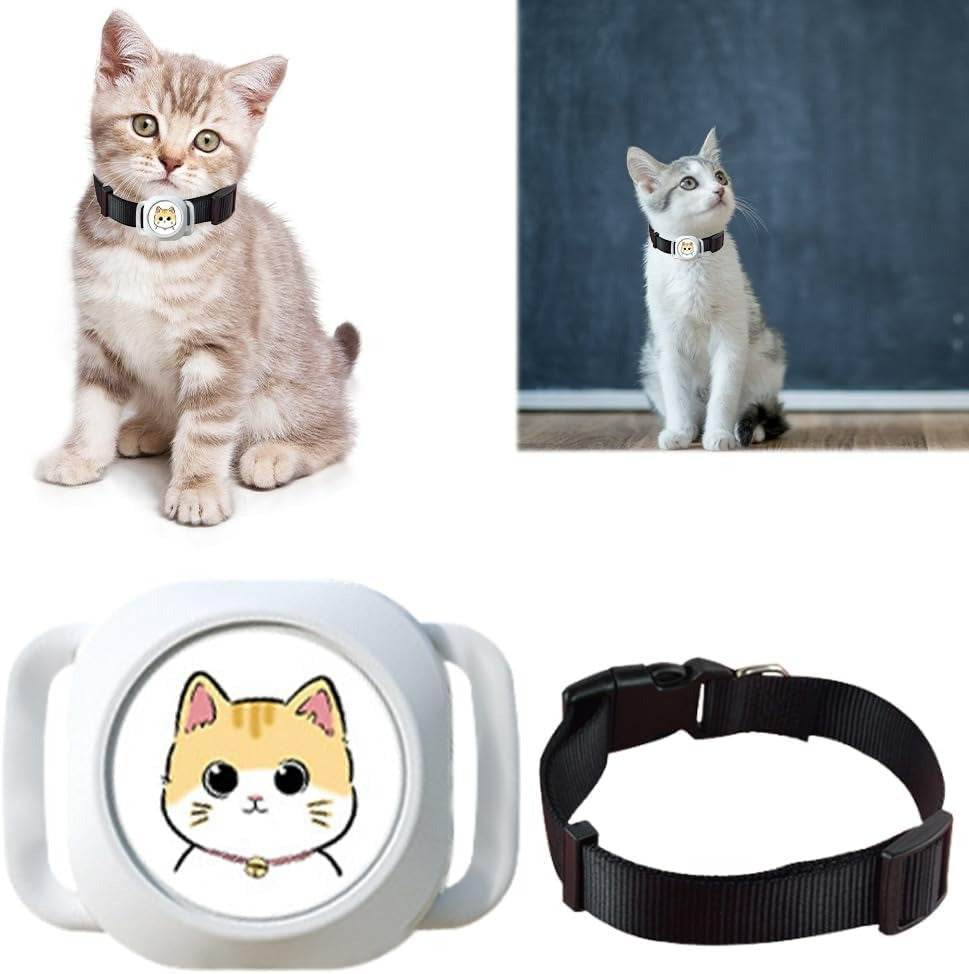 Pet GPS Tag Tracker — iPhone