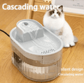 Filtered pet water fountain
