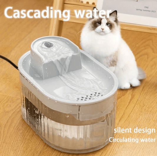 Filtered pet water fountain