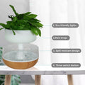 Rain cloud plant humidifier