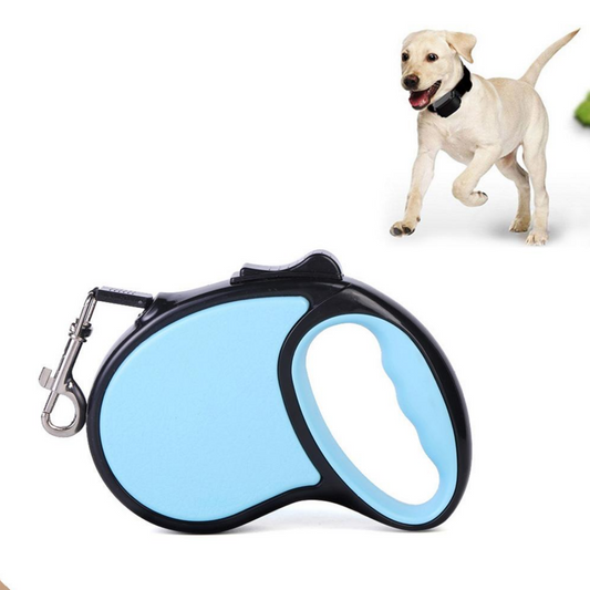 Retractable dog leash